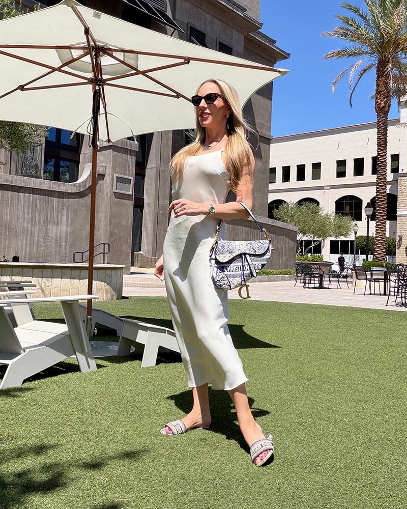 rent designer bag dior saddle vivrelle eve dawes
