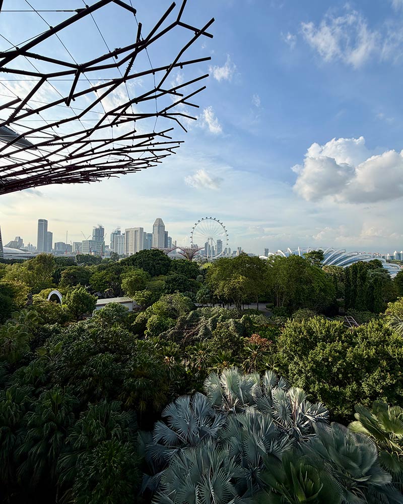 OCBC skyway gardens by the bay