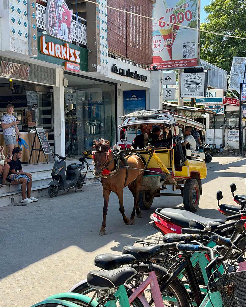 gili islands horse cart no cars day trip