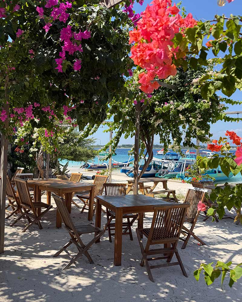 gili islands tour northern gilis water flower tables