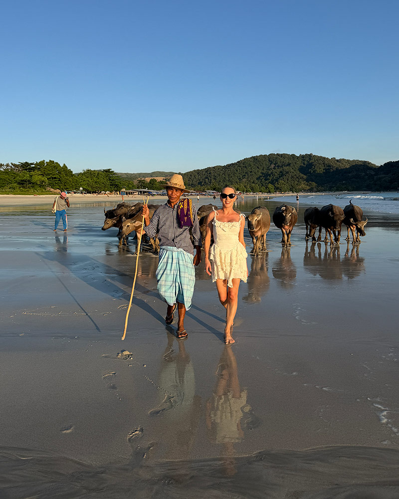 how see water buffalo lombok selong belanak farmer