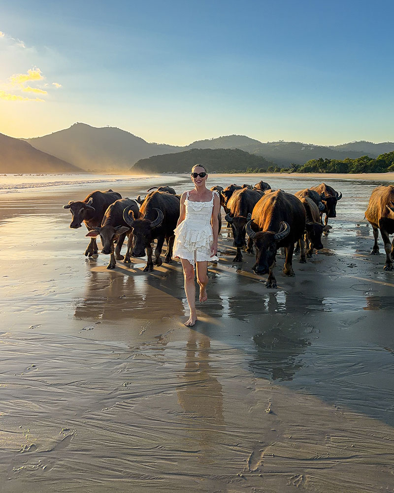 Selong Belanak beach water buffalo