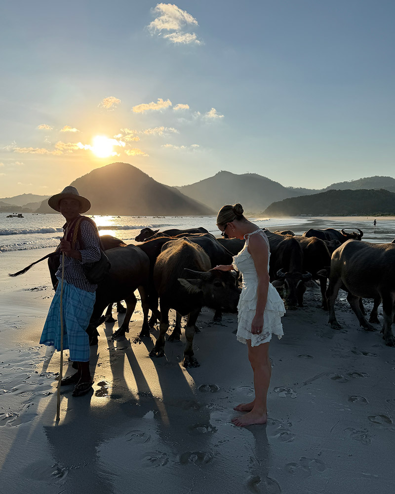 farmer lombok sunset beach water buffalo