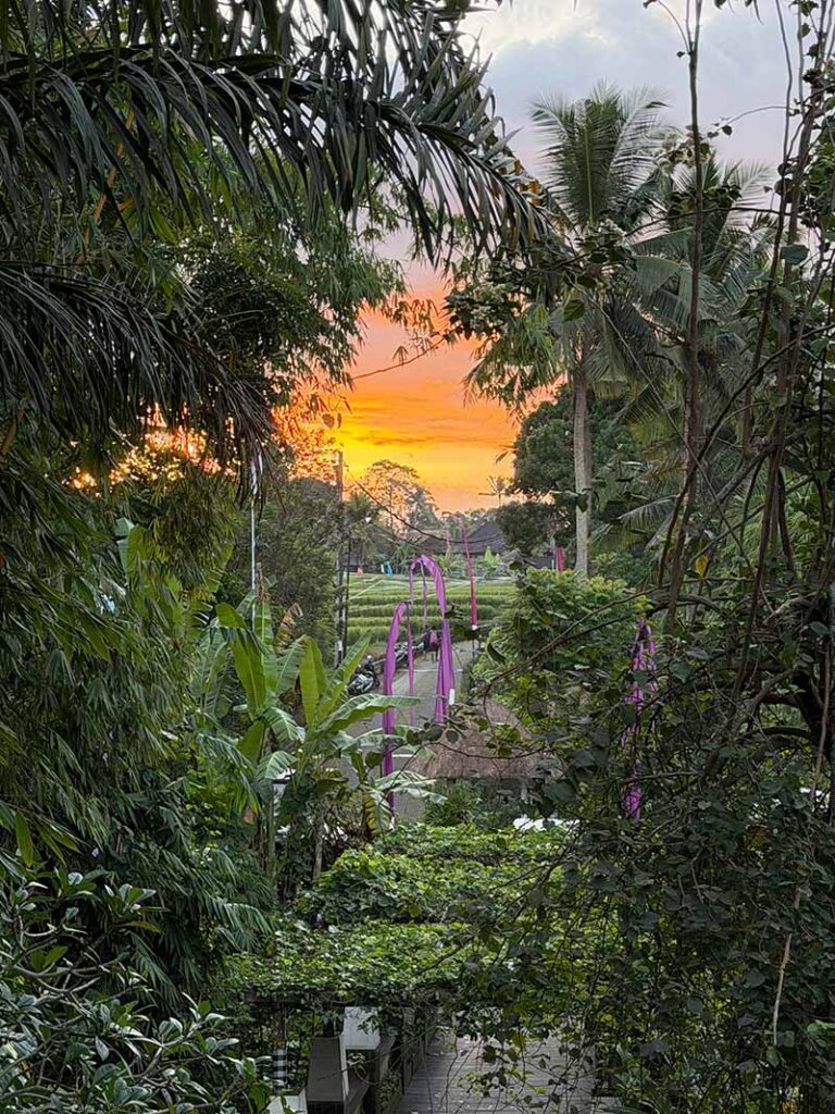 where stay ubud bali luxury resort