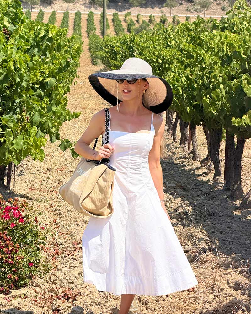 wine tasting aix en provence Château La Coste vineyards