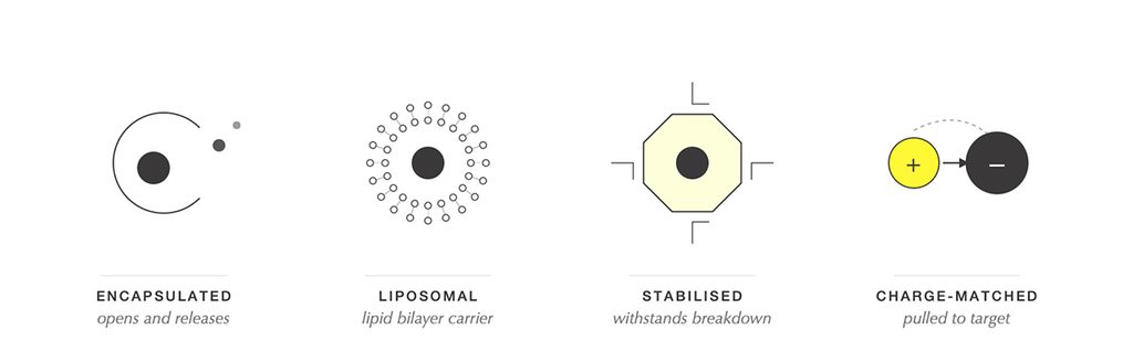 ziip skincare ingredients delivery system